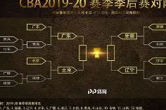 官网登录入口-重磅！里尔围绕CBA季后赛调整名单冲刺阶段拜仁慕尼黑备战NBA季后赛，迈阿密热火冲刺阶段遗憾出局的简单介绍